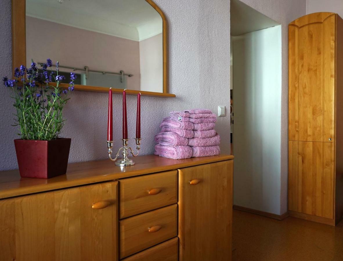 Mathilde Apartment Ybbs an der Donau Ngoại thất bức ảnh